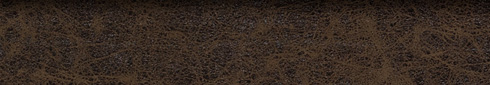 AFRICA BISONTE OCRE