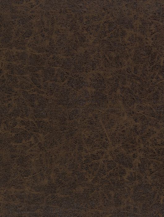 AFRICA BISONTE OCRE
