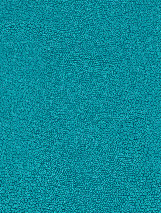 MALI AZUL CORAL