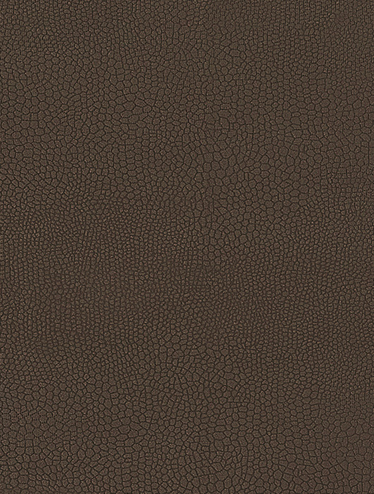 MALI TERRA