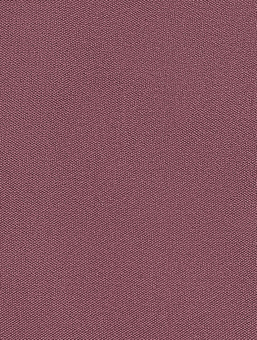 MITEZZA CORAL