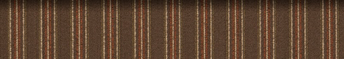 BANUBIO ISAR BRONZE