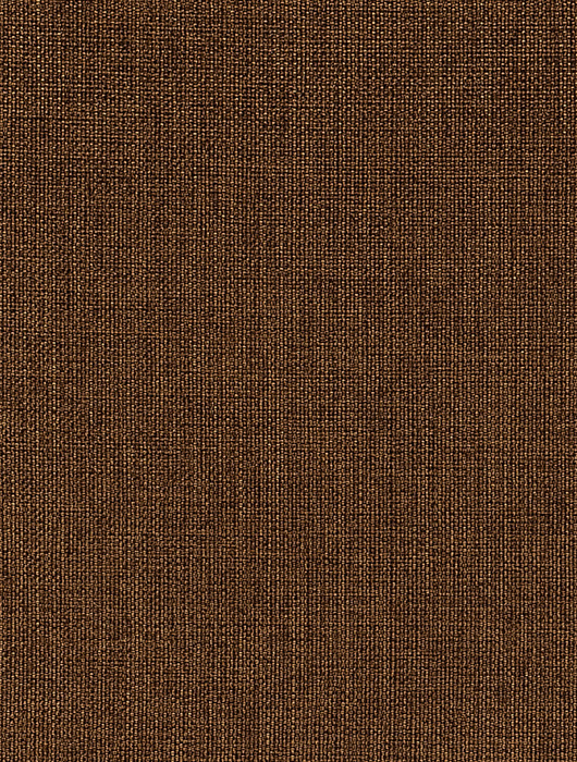 NIZA CINNAMON