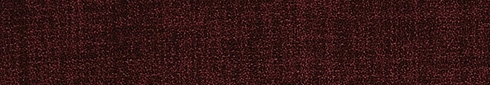 BARI TINTO