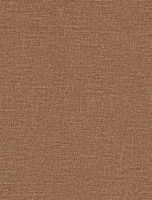 CAPRI CANELA