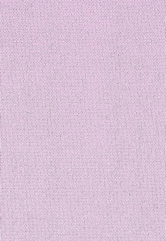 PALERMO ROSA