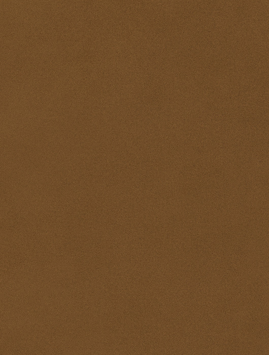 ELEGANCE CINNAMON