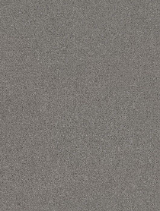 ELEGANCE SILVER